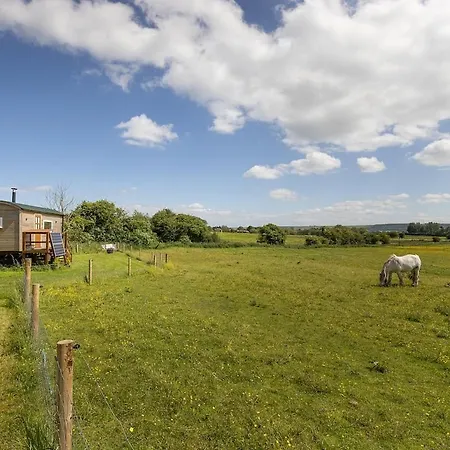 Apartment The Shepherd'S Retreat Luxury Secluded And Private Cosy Hut Outdoor Bath With Firepit Scarborough *